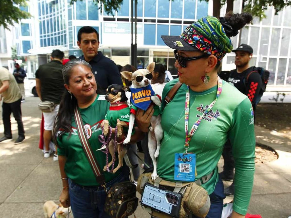 Los chihuahuas sumaron ternura al ambiente futbolero.