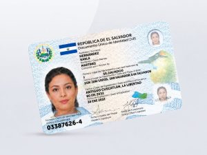 DUI (2)