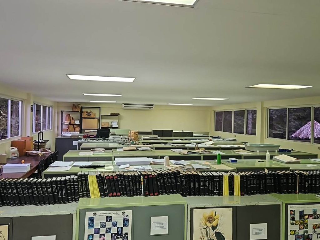 El Herbario LAGU conserva más de 45,000 ejemplares de plantas y ofrece un banco de datos gratuito para apoyar la investigación científica.