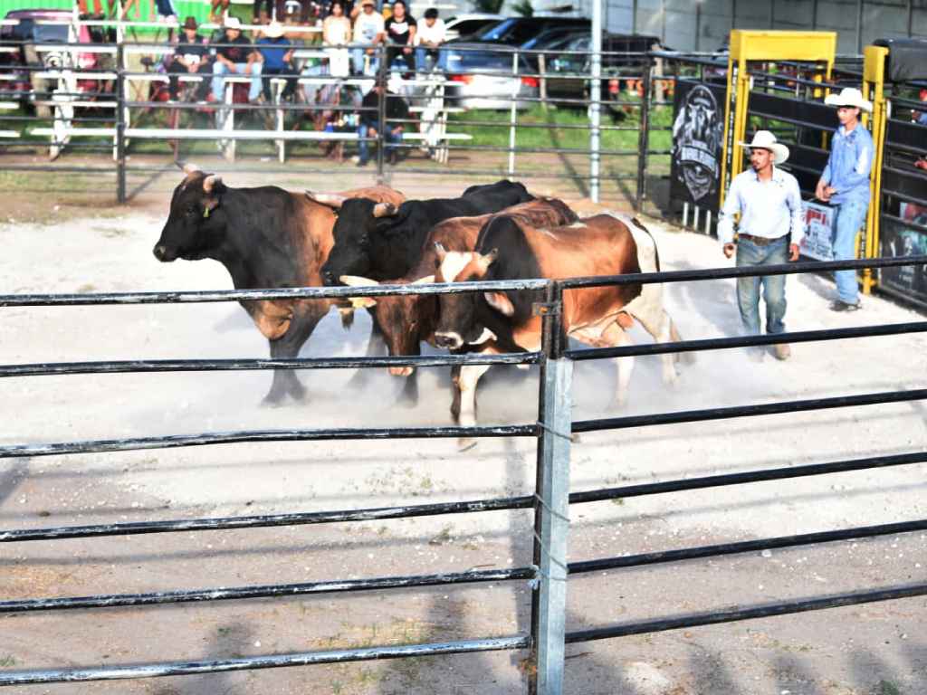 Jaripeo- Fiestas Patronales-Publico- Turistas- Santa Ana