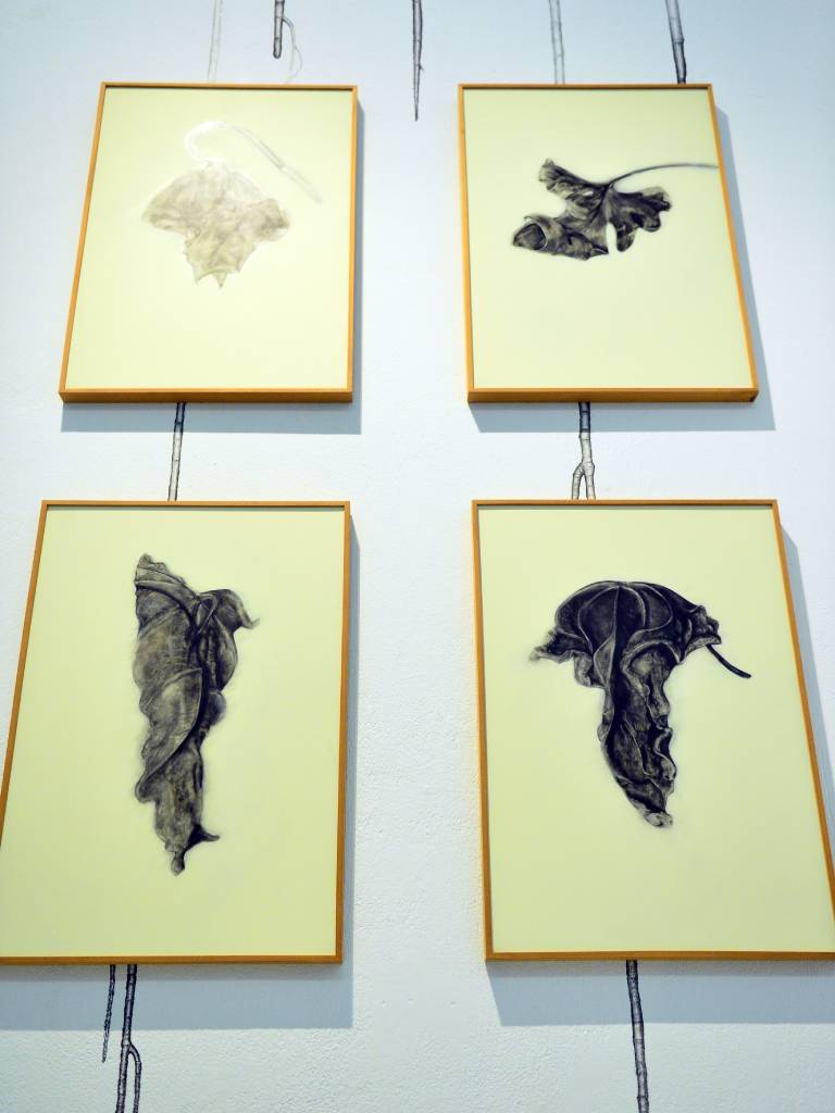 Obra de Mauricio Esquivel (dibujo por Jeovany Alvarado): «Aerial roots / Raíces aéreas». Dibujo sobre lino de medidas variables.