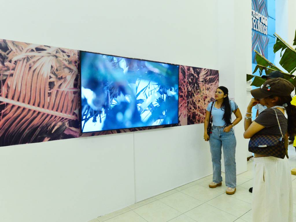 Muestra audiovisual que forma parte del recorrido en el Museo MARTE.