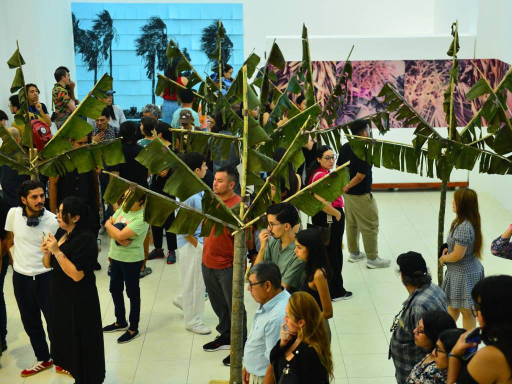 «Palmeras cansadas»: inauguran muestra sobre memoria y resistencia