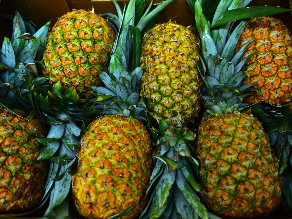 Piña fresca en el mercado con valor de $2.00 a $2.50.