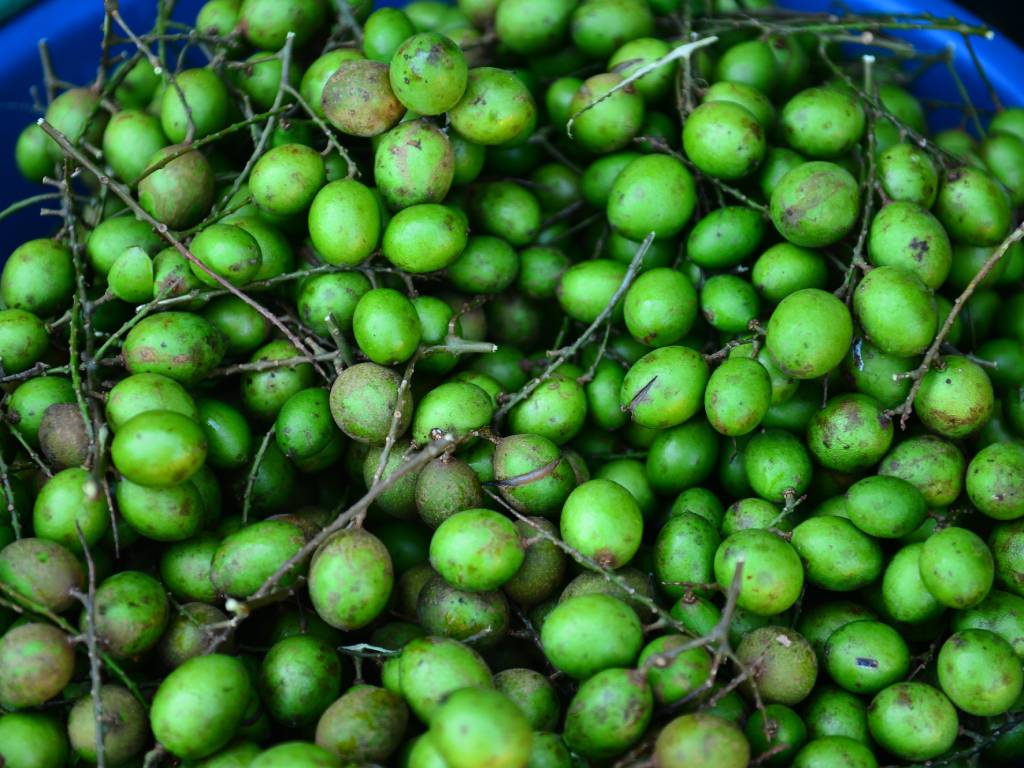 Mamón azucarón: sabor que varía entre dulce y ácido.