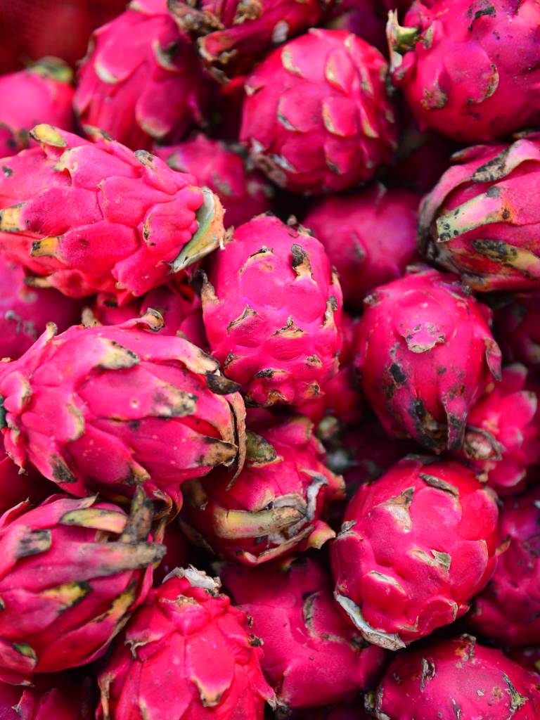 Pitahaya: fruto de cactus exótico, escamoso y muy fresco.
