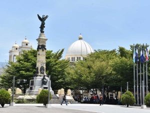 La plaza Libertad, en el Centro Histórico de San Salvador, luce rodeada de Terminalia ivorensis, el árbol africano de Don Alberto. /Foto Miguel Lemus