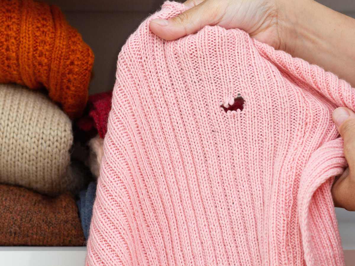 Los agujeros en la ropa pueden tener varias causas: desde insectos hasta almacenamiento prolongado, humedad o falta de ventilación.