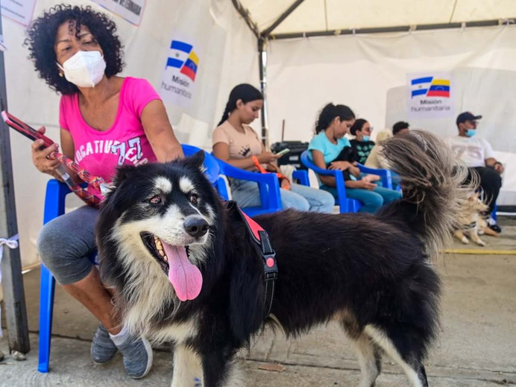 Médicos y veterinarios salvadoreños atienden a personas y mascotas en el hospital de campaña instalado en Catia La Mar.