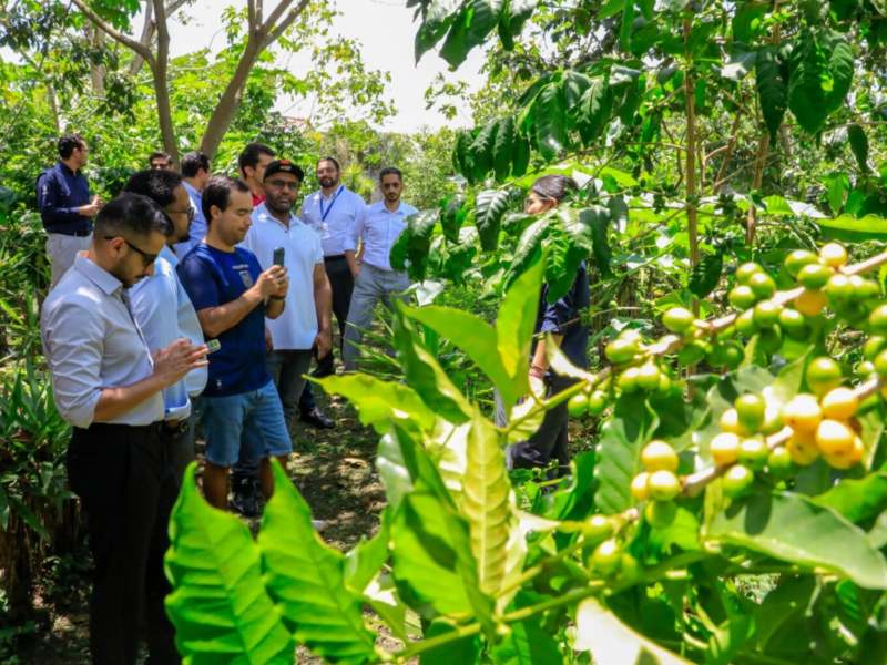 Representantes de la Saudi Coffee Company visitaron El Salvador para conocer la calidad del café nacional y explorar oportunidades de importación.