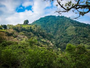 Cerro Pelón se encuentra en Berlín, Usulután, a 1,200 metros sobre el nivel del mar.