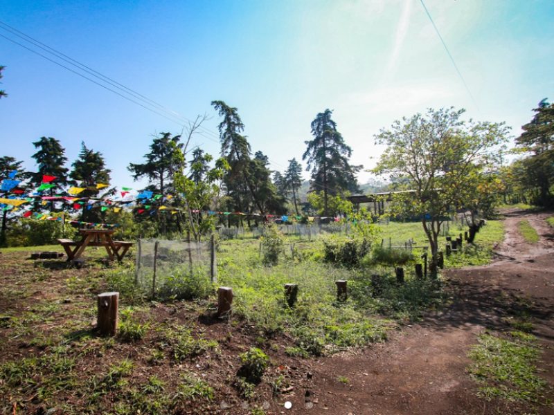 Cerro Pelón combina una caminata de altura con una leyenda local de Berlín.