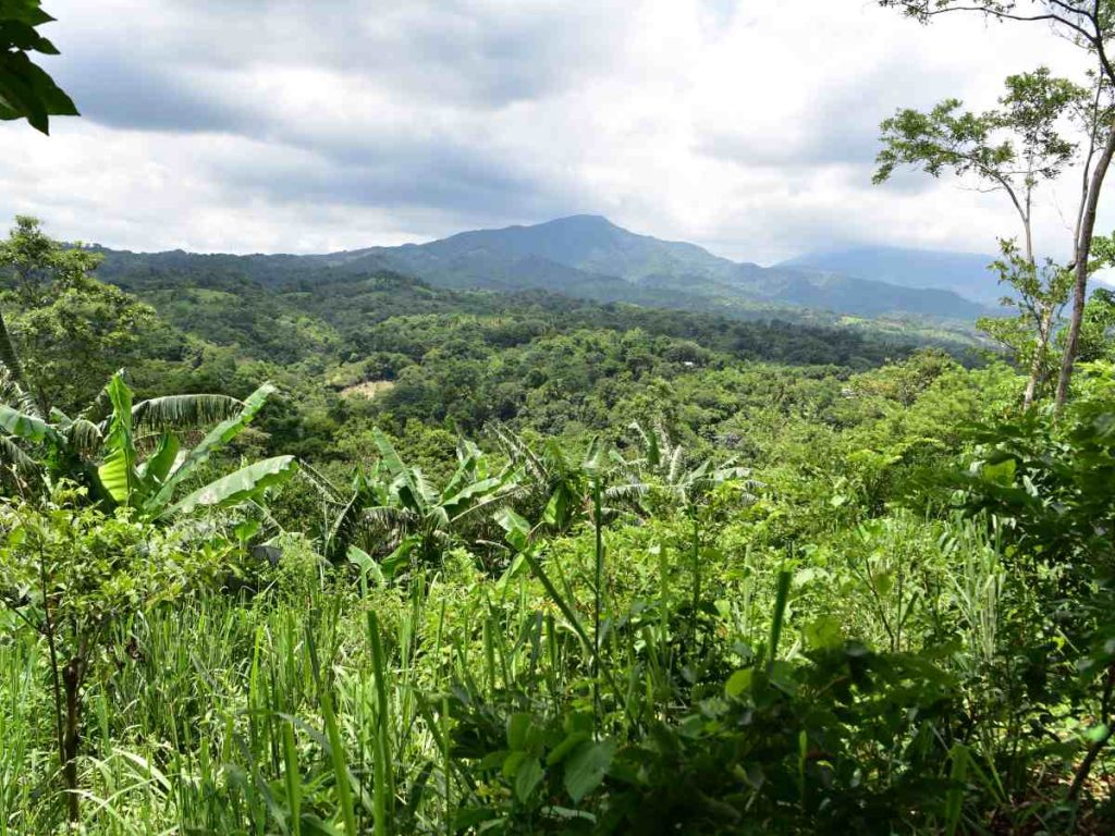 La cueva de Anastasio Aquino es un destino que une historia, cultura y naturaleza.