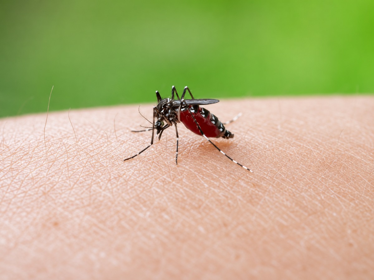 El Salvador suma segunda muerte por dengue en 2026
