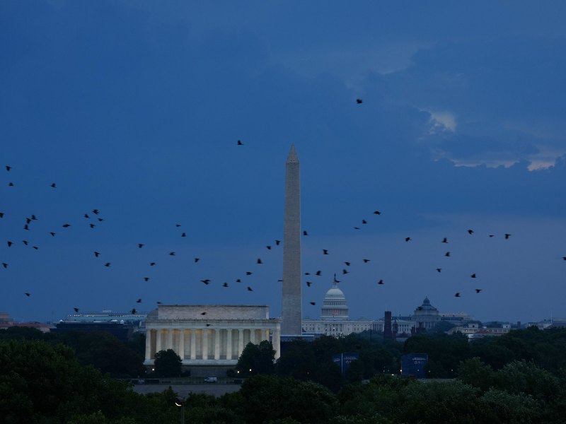 El evento del 4 de julio en Washington fue interrumpido por ráfagas de viento y relámpagos.
