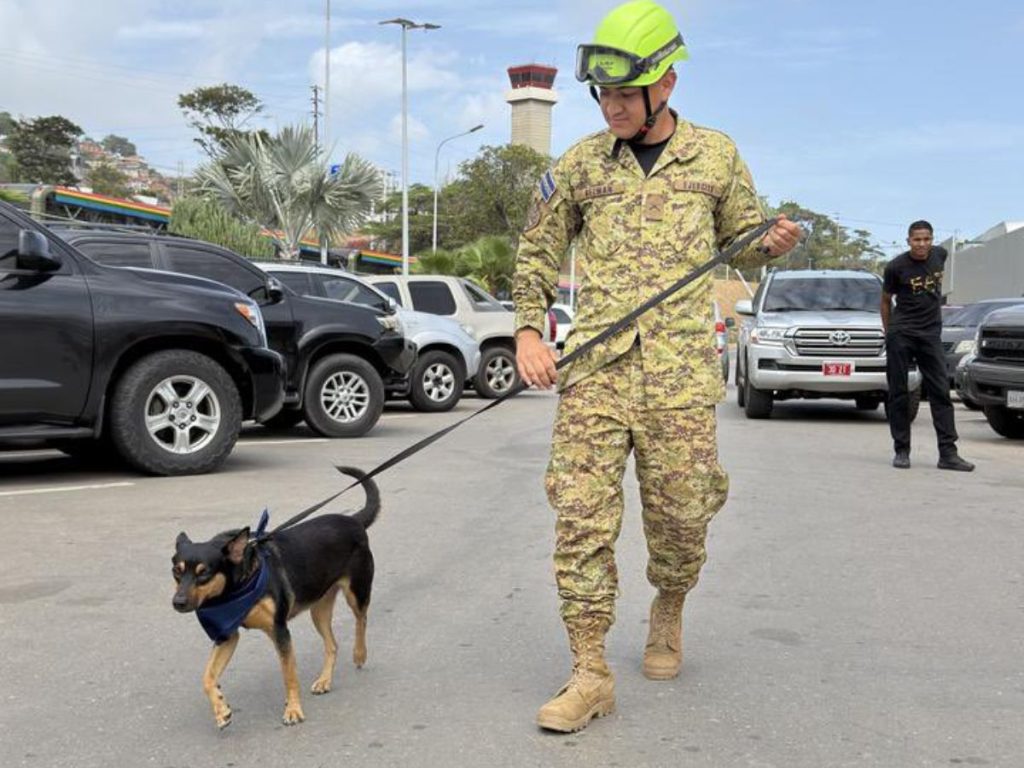 La perrita iniciará un proceso de entrenamiento para convertirse en integrante de la Unidad Humanitaria de Rescate.La perrita iniciará un proceso de entrenamiento para convertirse en integrante de la Unidad Humanitaria de Rescate. Fotografía/ Cortesía