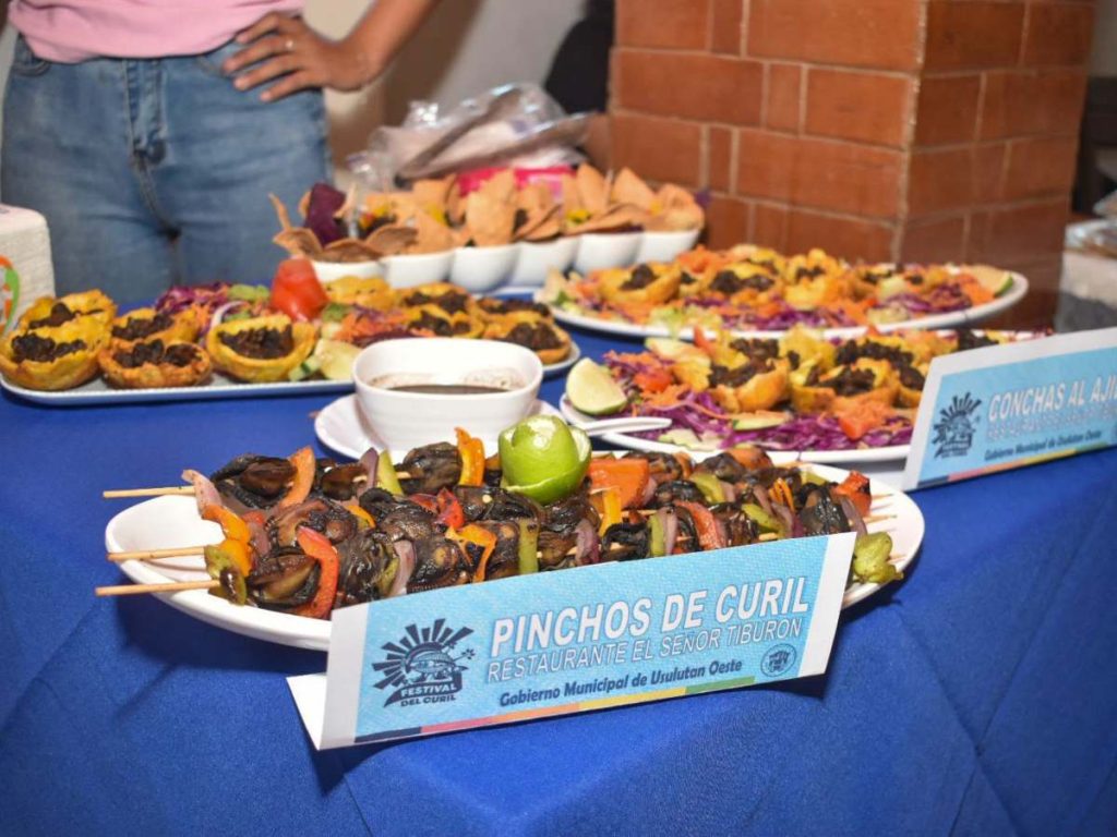 Emprendedores y cocineros locales presentarán recetas tradicionales e innovadoras elaboradas con curil durante la décima edición del festival.