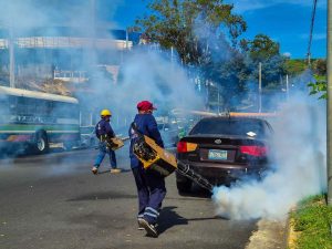 Aumentan a 170 los casos sospechosos de dengue, ¿qué síntomas vigilar?