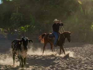 El Gran Jaripeo de las Fiestas Julias se realizará este domingo en Santa Adela