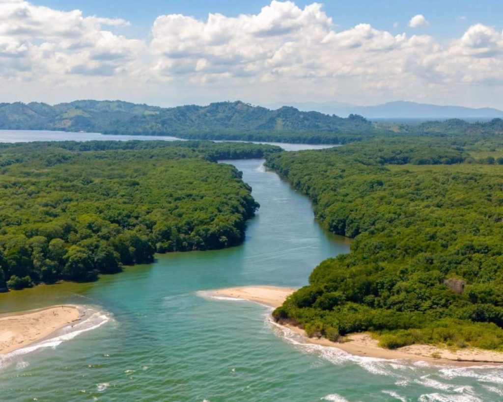 Roatán, Utila y Cayos Cochinos destacan en Honduras por sus aguas cristalinas, playas caribeñas y opciones para bucear durante una ruta por libre.
