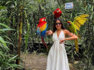 Apaneca continúa consolidándose como un destino para el turismo de naturaleza, gracias a opciones de hospedaje que integran descanso, paisajes y experiencias al aire libre.