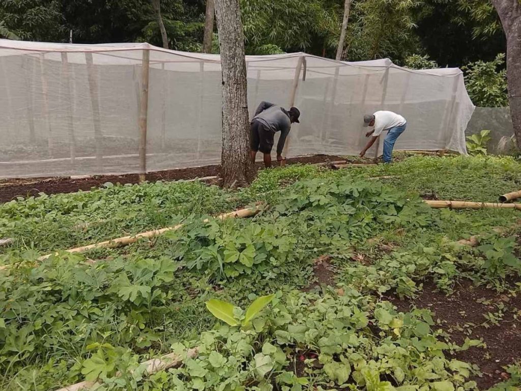El invernadero fue instalado en el Huerto Comunitario de Ceiba Chacha, en la cuenca del Lago de Coatepeque. Foto: cortesía