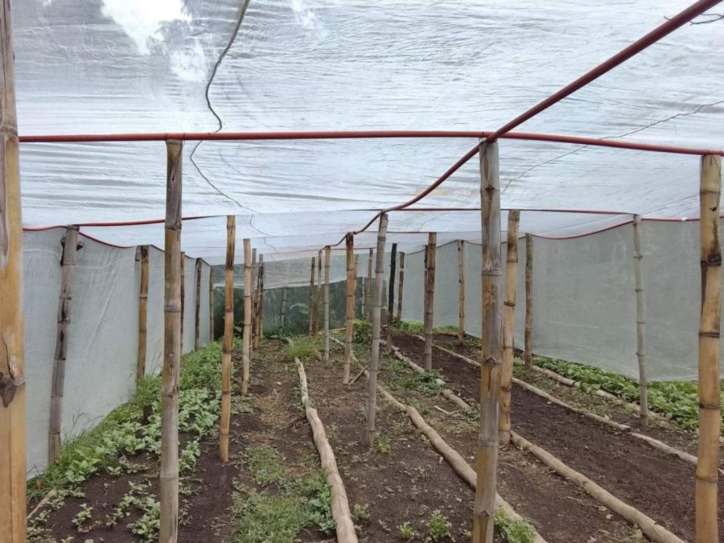 El proyecto busca fortalecer la producción sostenible de alimentos y el uso eficiente del agua.