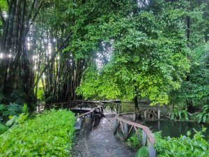 jardin-botanico-la-laguna-04