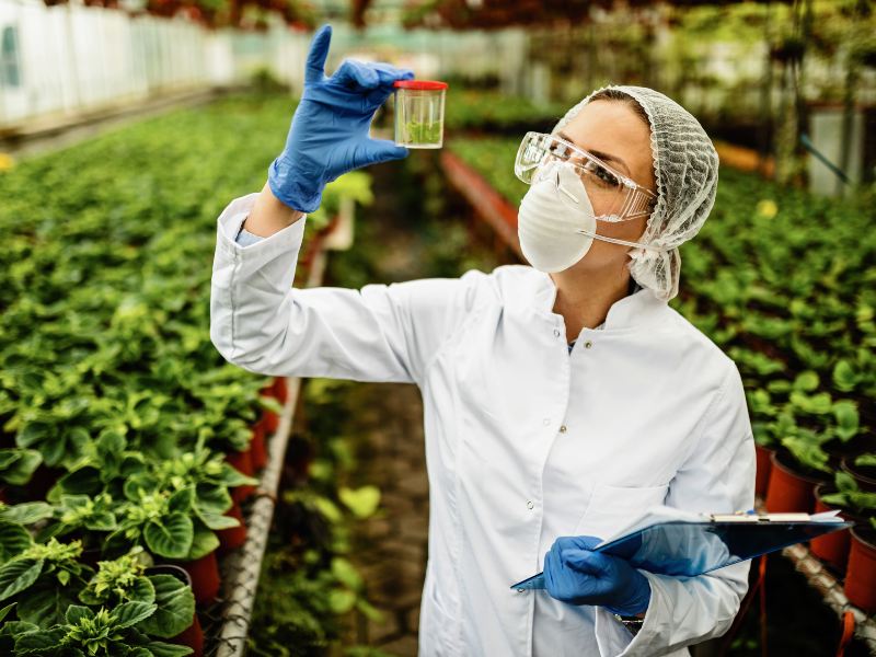 La plaza del MAG está dirigida a perfiles técnicos con experiencia en laboratorios y sistemas de calidad.