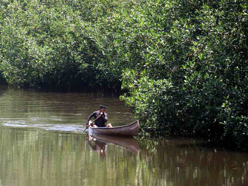 Fotografía del 22 de julio de 2026 que muestra un pescador navegando en el bosque de manglar ubicado en la Barra de Santiago en Ahuachapán (El Salvador).