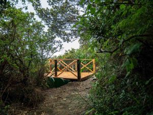 Volcán de Santa Ana estrena miradores en su ruta turística