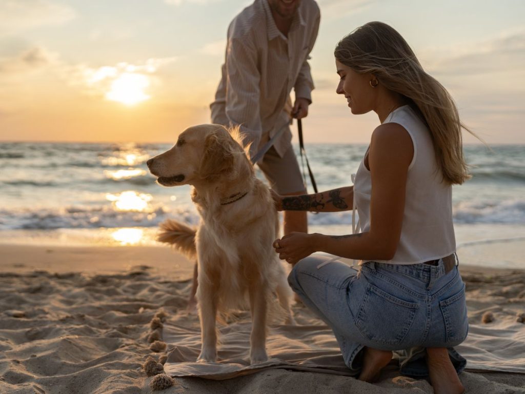No todos los perros disfrutan viajar; su salud, temperamento y bienestar deben guiar cada decisión.