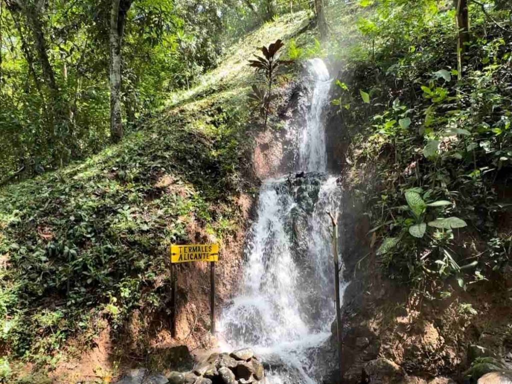 Los senderos ecológicos complementan la experiencia entre bosque y montaña.