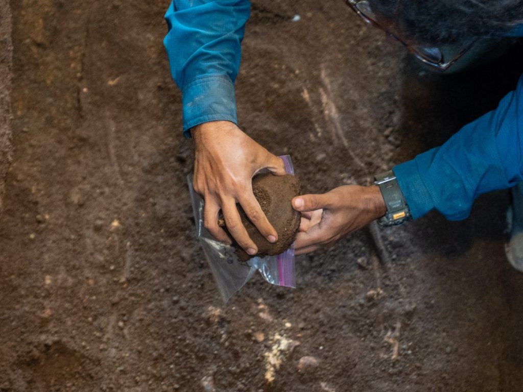 Los arqueólogos documentaron y extrajeron una pequeña vasija de cerámica Usulután con forma de tortuga marina hallada en el sitio arqueológico Pasaje 4, en Antiguo Cuscatlán. Fotografía/ Ministerio de Cultura
