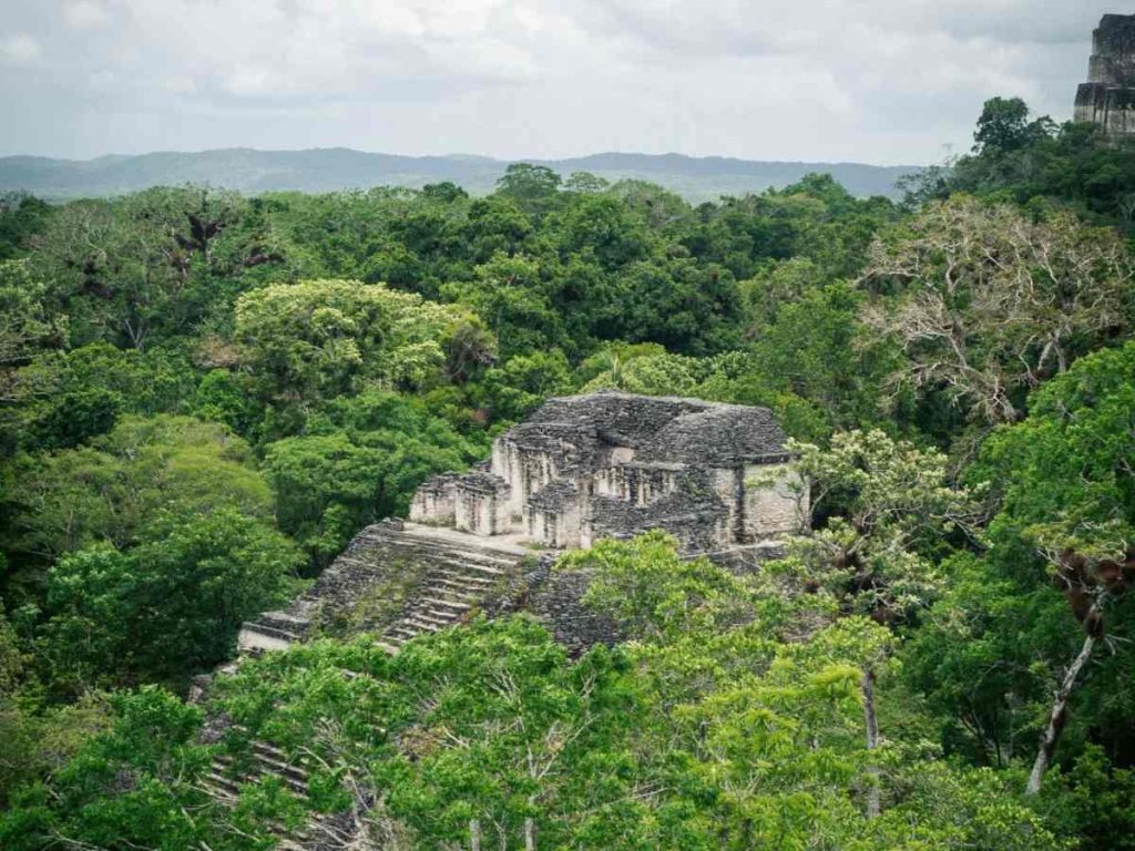 La selva de Petén rodea los templos de Tikal.