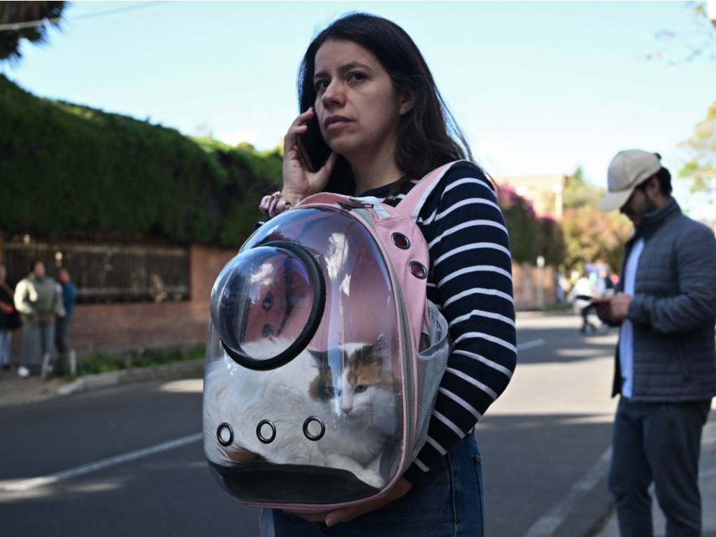 Gato tricolor visible dentro de una mochila de transporte transparente mientras su dueña habla por teléfono en la calle.