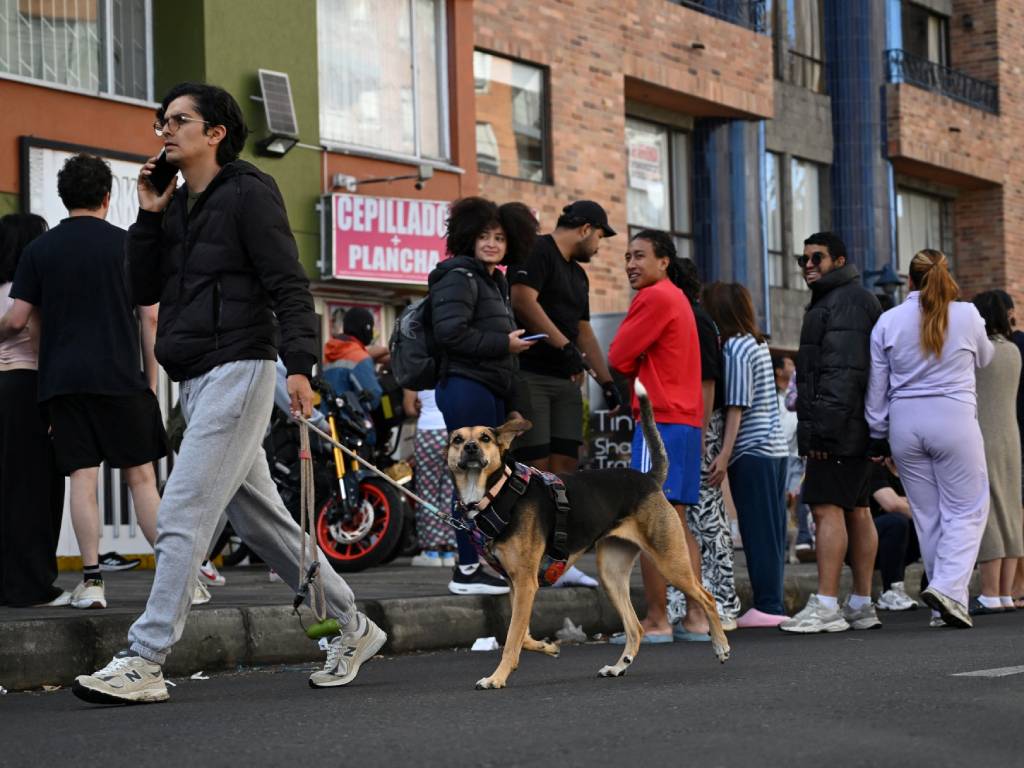 El oído de los perros los hace propensos al estrés en sismos.
