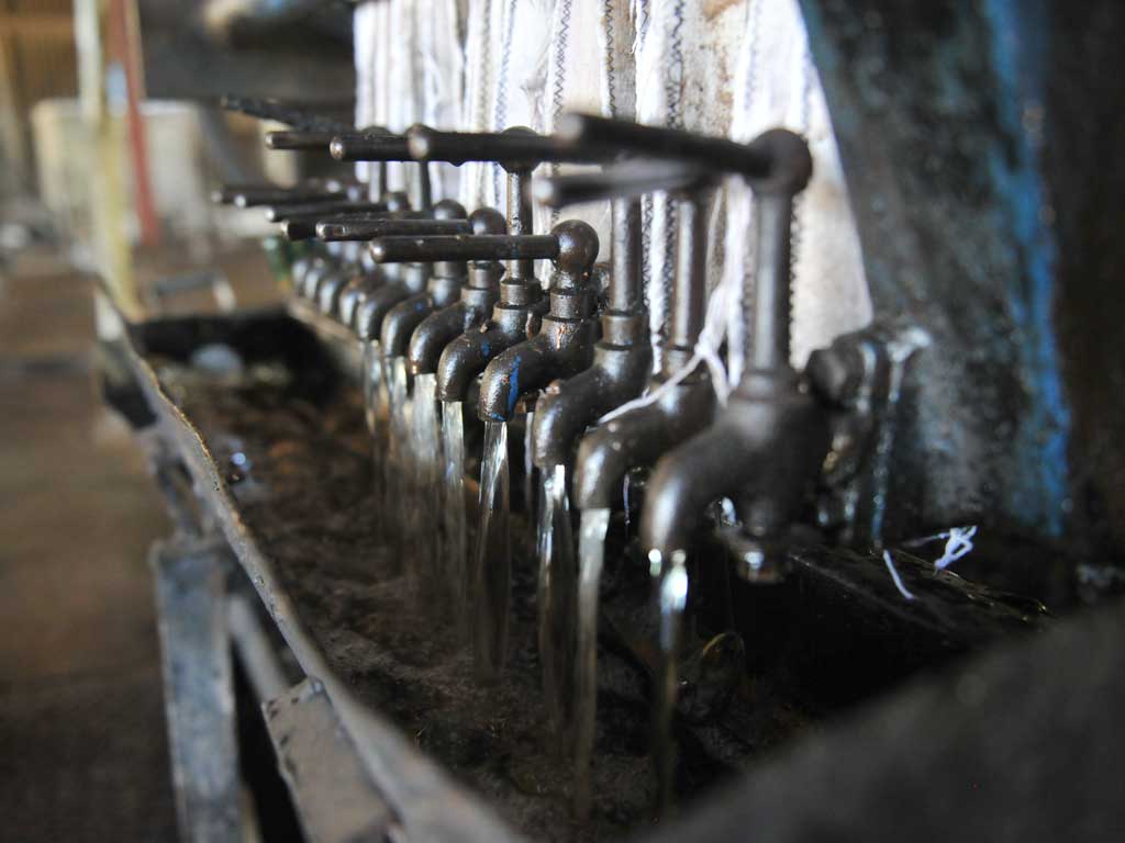 Una toma en primer plano que muestra una fila de grifos metálicos con un líquido transparente que fluye de cada uno de ellos, con filtros de tela blancos y una gran máquina industrial de fondo.