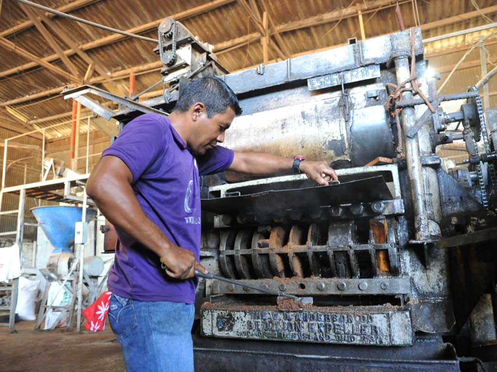 Un hombre con una camisa morada y pantalones vaqueros azules opera y ajusta la gran maquinaria industrial de metal en la fábrica, que lleva grabada la frase "EXPELLER".