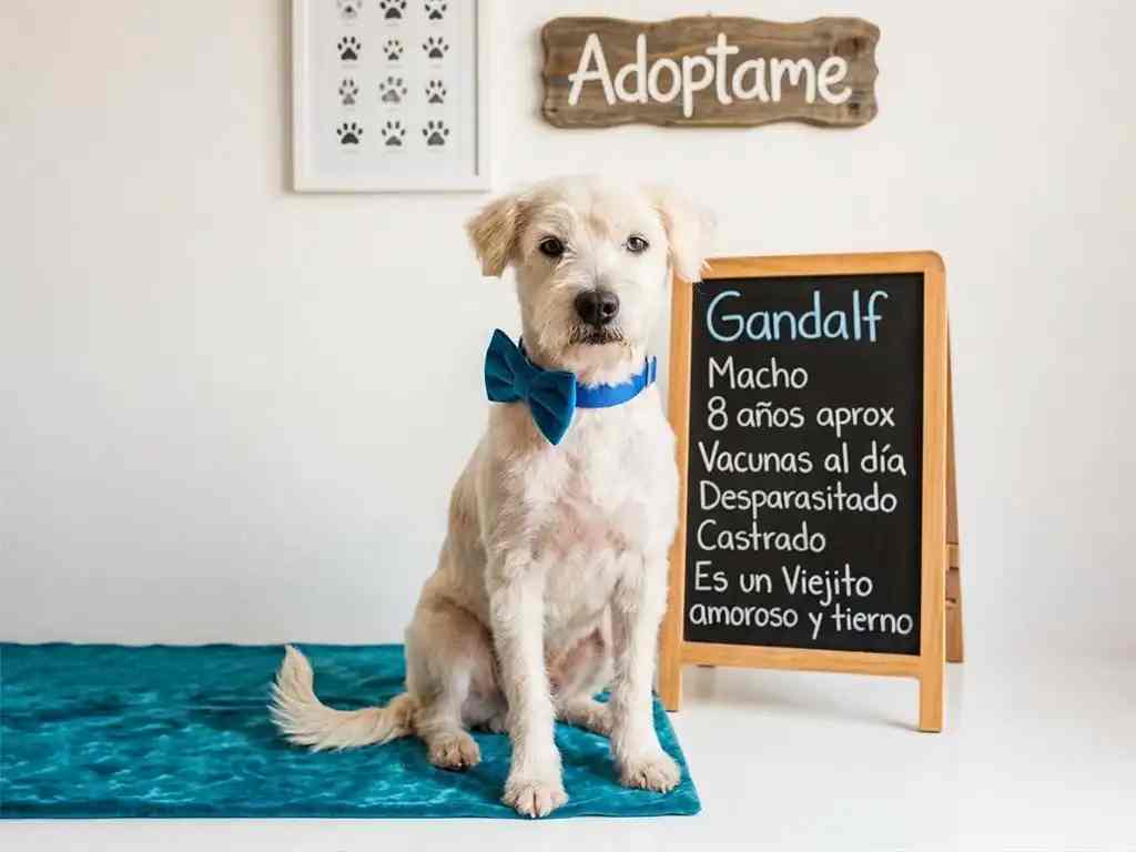 Amoroso y tierno.