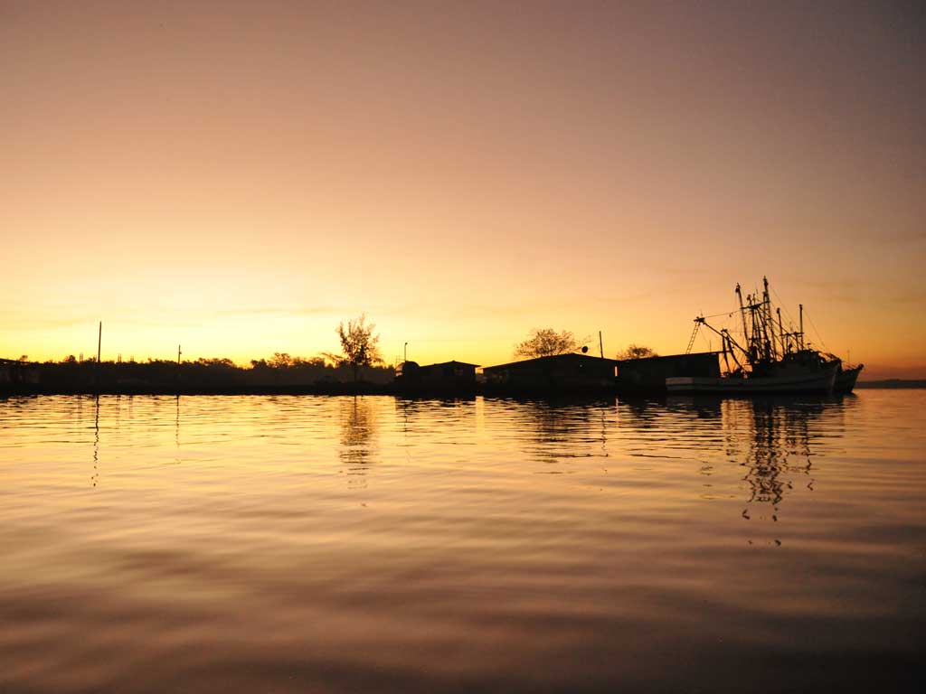 Silueta de barcos de pesca amarrados en el agua reflejando el tono dorado del cielo al atardecer.