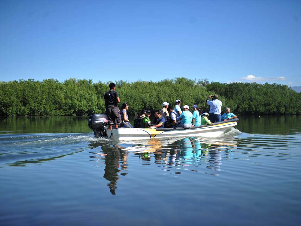 Lancha a motor repleta de pasajeros navegando pacíficamente frente a un denso bosque de manglar.