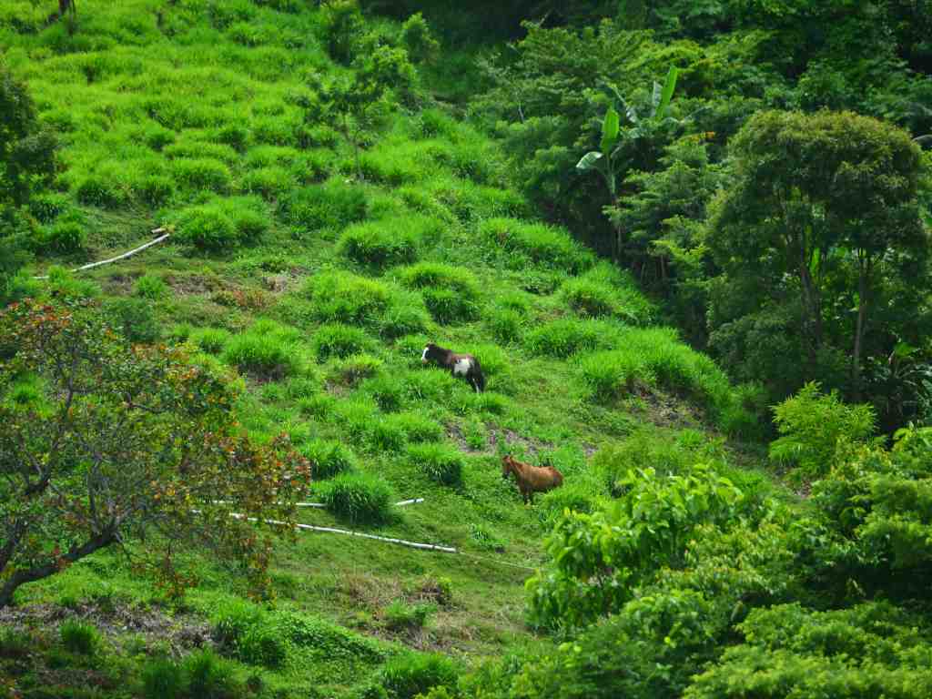 Puedes montar a caballo y vivir grandes aventuras en la naturaleza.