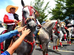 Cientos de jinetes y sus caballos desfilan en San Salvador Centro.