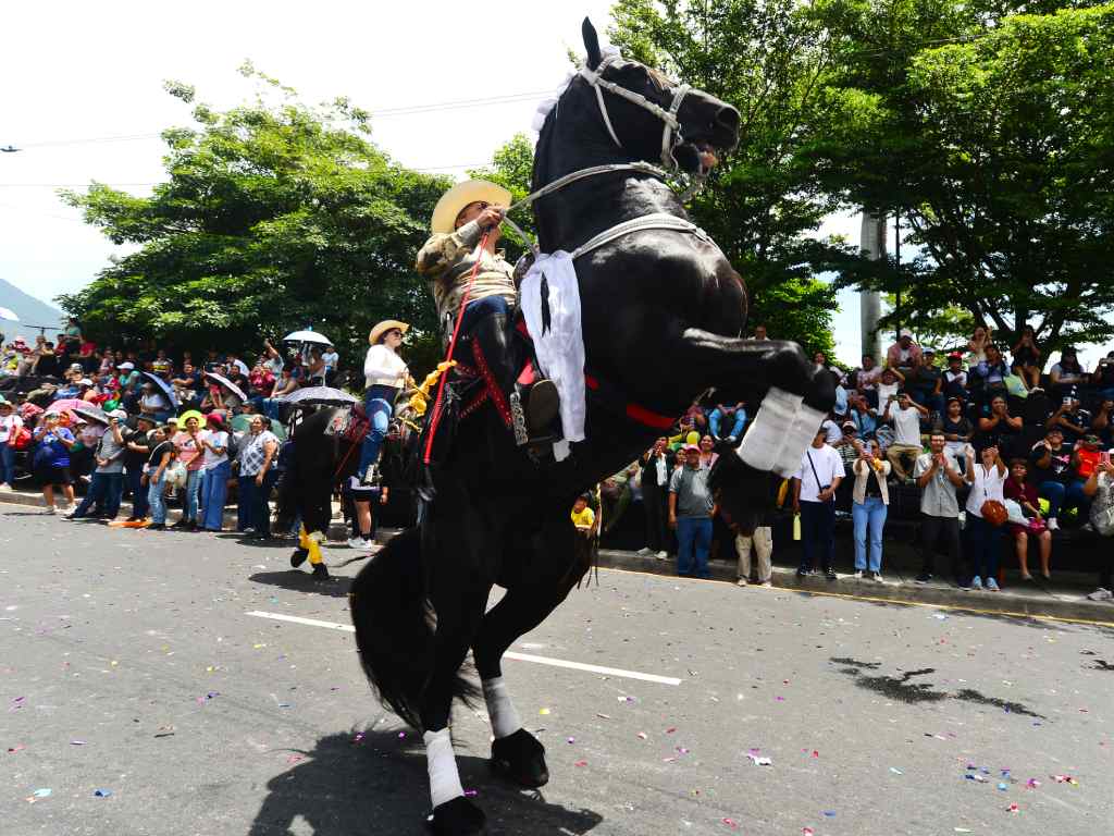 Caballo negro impresiona al público con una maniobra de alta escuela.