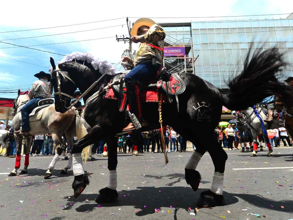 Gran desfile hípico destaca durante las tradicionales Fiestas Agostinas.