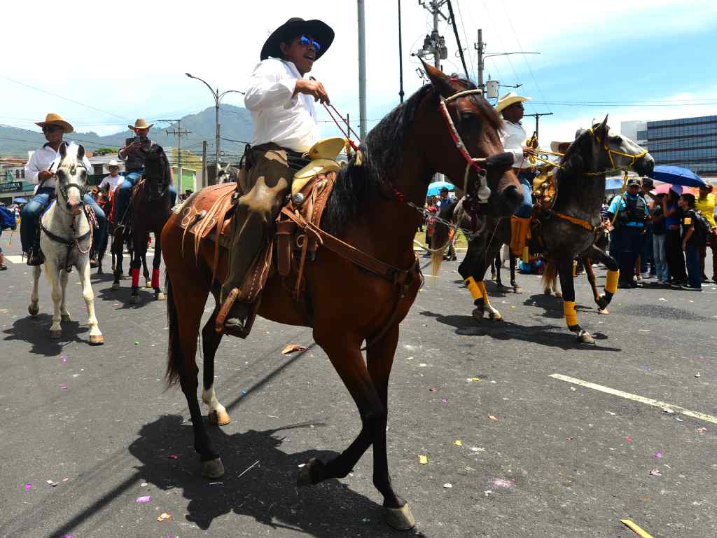 El recorrido reunió variados ejemplares en las calles de la ciudad