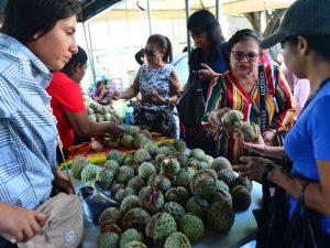 LM- Festival- Anona- Familias- Panchimalco- San Salvador- Quesadilla- Fresco001