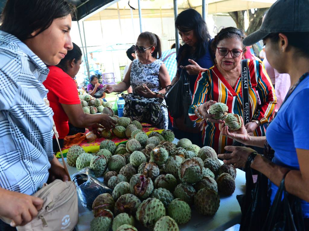Panorámica de puestos de venta de anona y visitantes reunidos celebrando el festival cultural en Panchimalco.