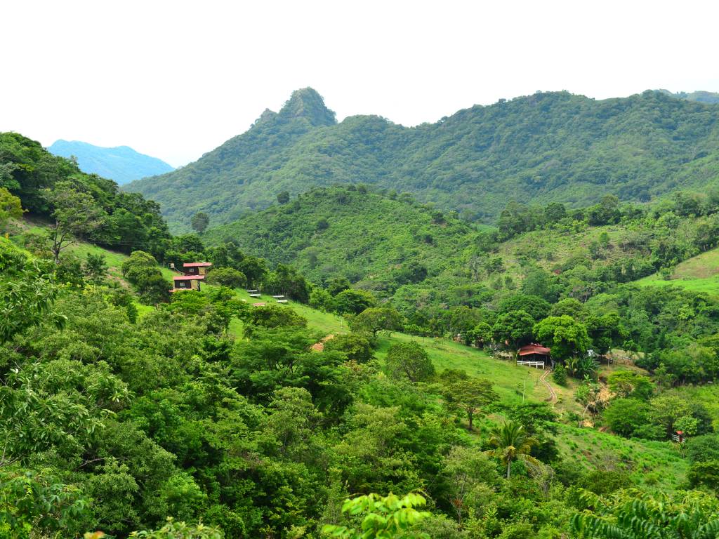 Hermoso paisaje verde con cabañas integradas en la montaña.